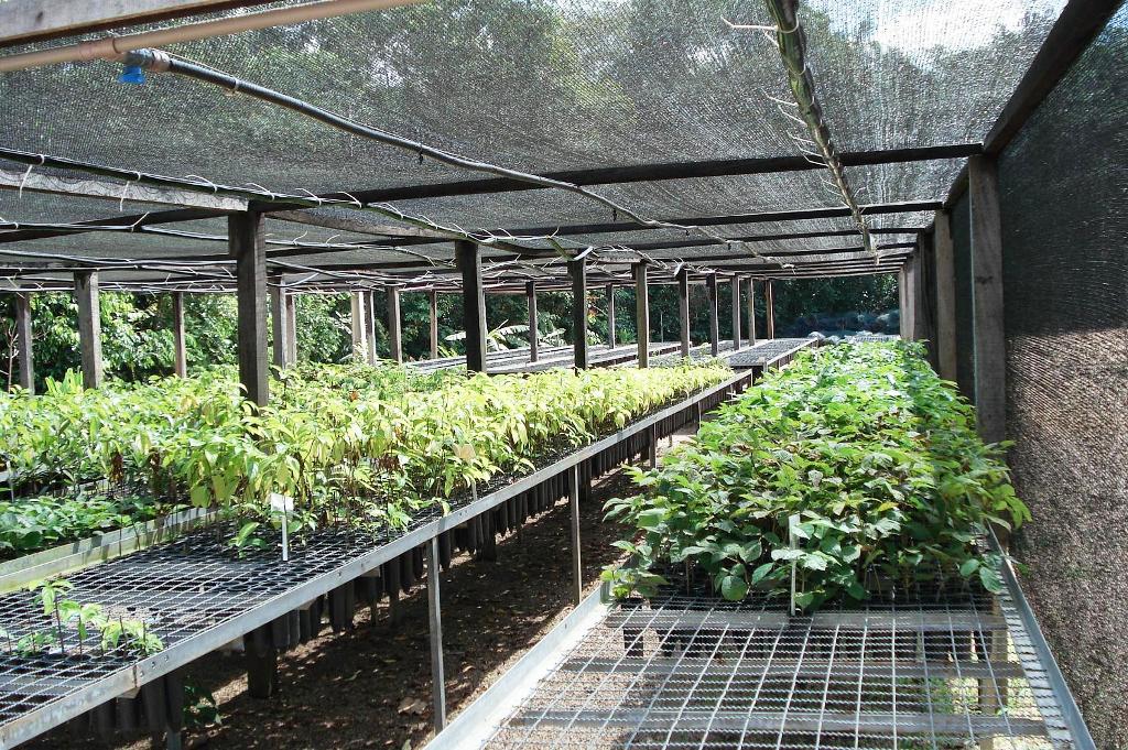 projet environnemental sur site curupira